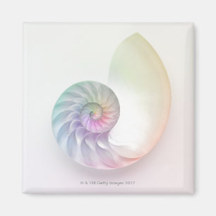 Íman Imagem colorida artística do nautilus