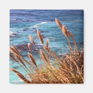 Íman Imagem Costeira da Califórnia