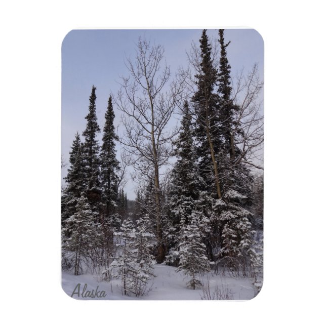 Íman Imagem da Cena de inverno (Vertical)