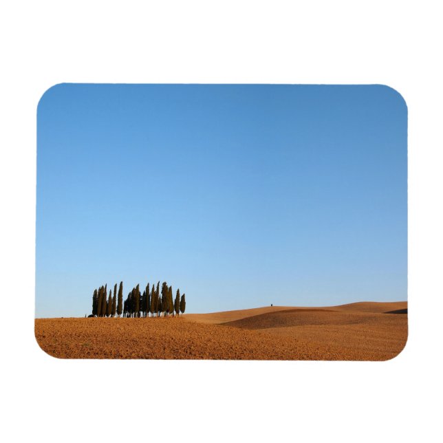 Íman Imagem da paisagem da Toscana retangular com cipre (Horizontal)