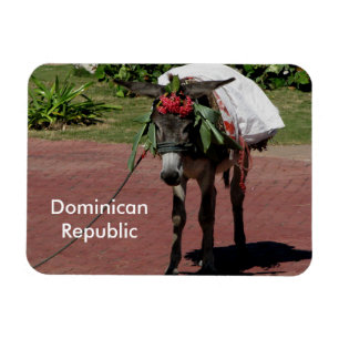 Íman Imagem da República Dominicana