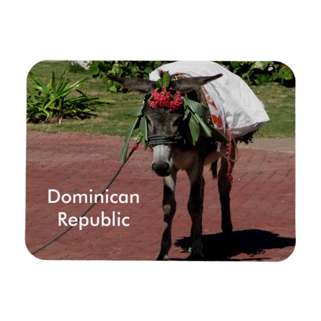 Íman Imagem da República Dominicana (Horizontal)