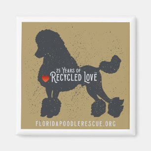 Íman Imagem de 25 anos do Florida Poodle Rescue
