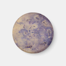 Íman Imagem de Abelhas Espaciais