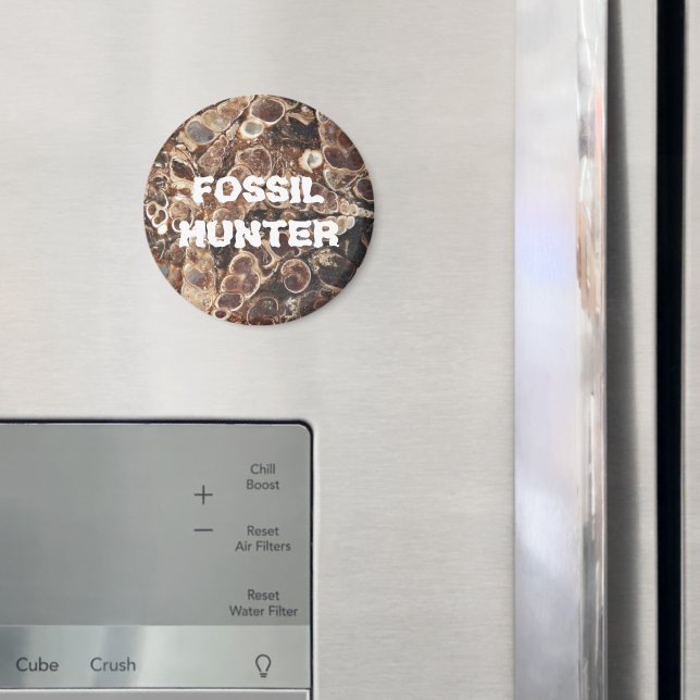 Íman Imagem de Agato de Turritella, Fóssil Hunter (In Situ (Fridge))