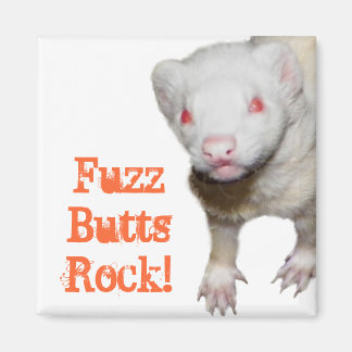 Íman Imagem de Albino Ferret