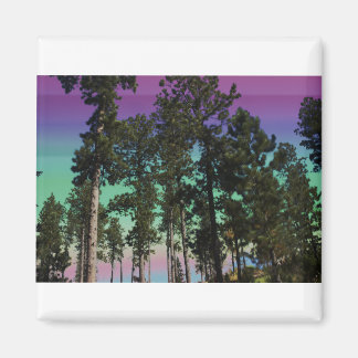 Íman Imagem de Árvore Colorido