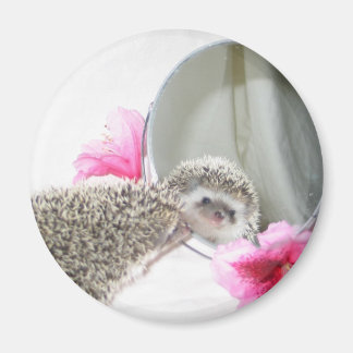 Íman Imagem de beleza