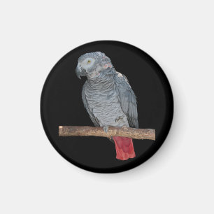 Íman Imagem de Cenoura Pesky