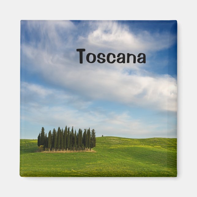 Íman Imagem de ciprestes na Toscana (Frente)