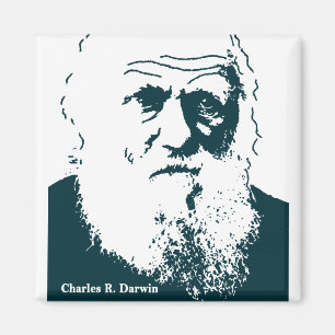 Íman Imagem de Darwin. Ímã