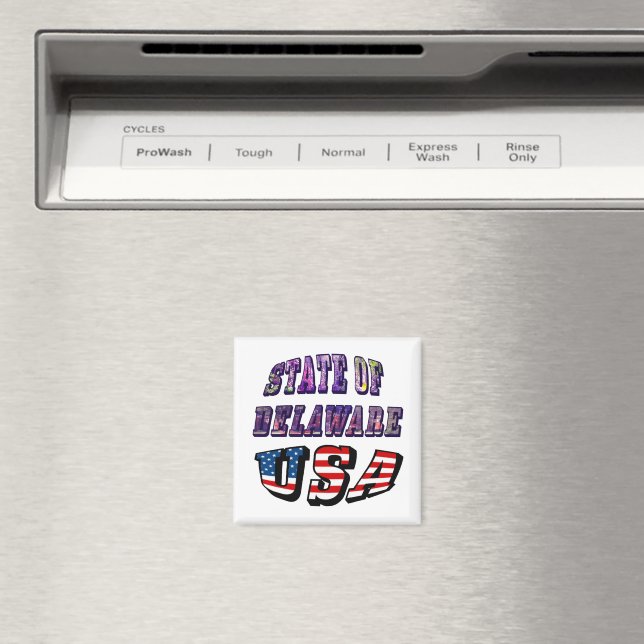 Íman Imagem de Delaware e Texto de Sinalizador EUA (In Situ (Dishwasher))