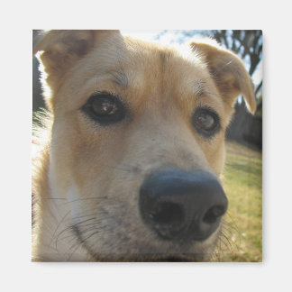 Íman Imagem de Dexter no Fim de Semana