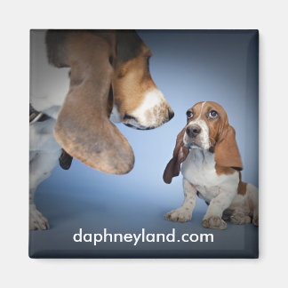 Íman Imagem de Encontro de Puppy