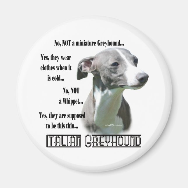 Íman Imagem de FAQ de Greyhound Italiano (Frente)