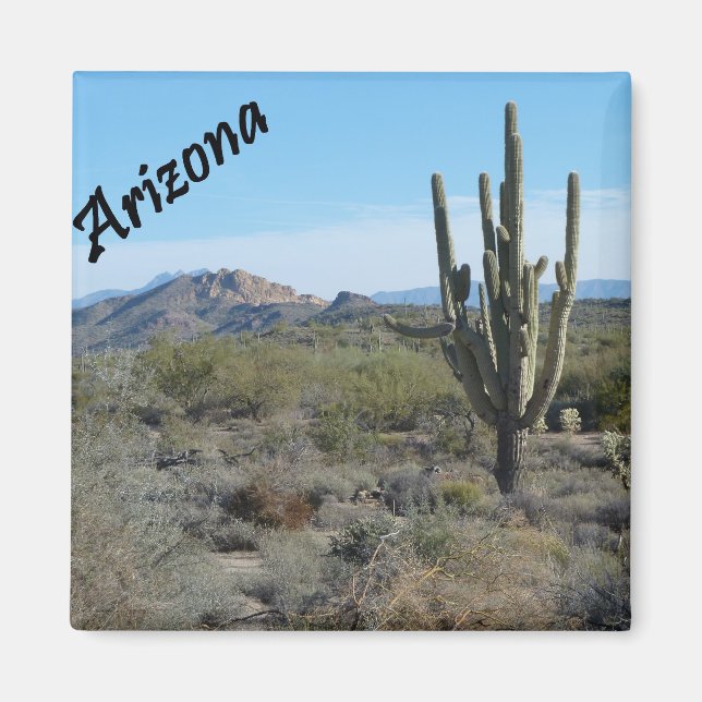 Íman Imagem de Foto do Cactus de Trilha do Apache arizo (Frente)