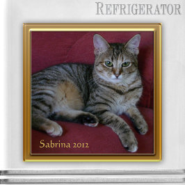 Íman Imagem de Foto do Cat Memorial