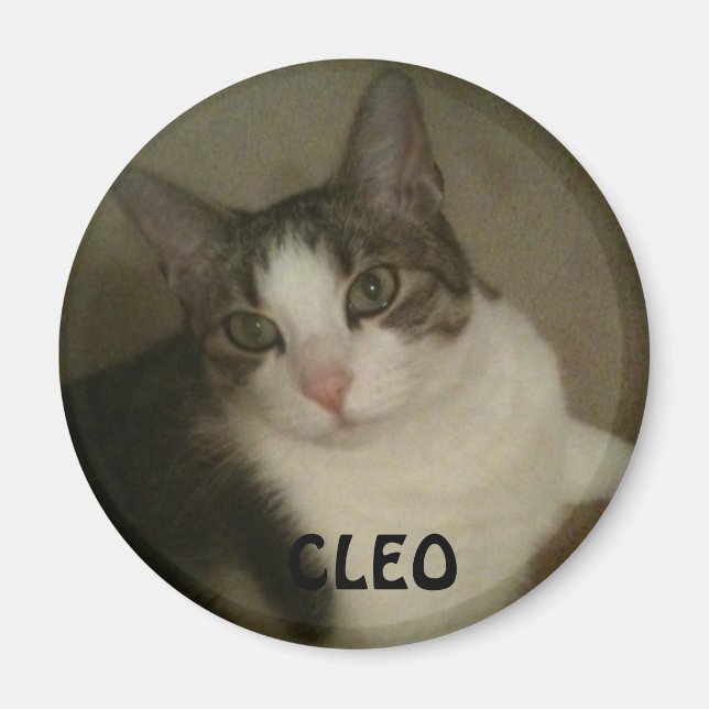 Íman Imagem de Foto Pet Nomeada (Frente)