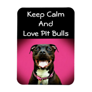 Íman Imagem de Fotografia do Pitbull Love