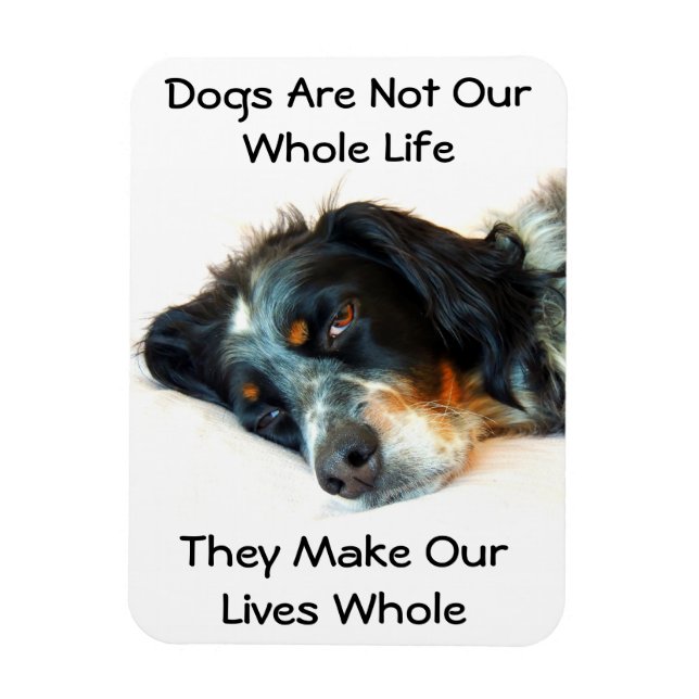 Íman Imagem de Fotografia do Setter Love (Vertical)