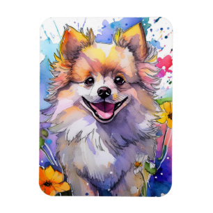 Íman Imagem de Fotografias de Cachorros Pomeranianos