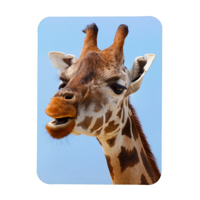Íman Imagem de Giraffe Portrait (Vertical)