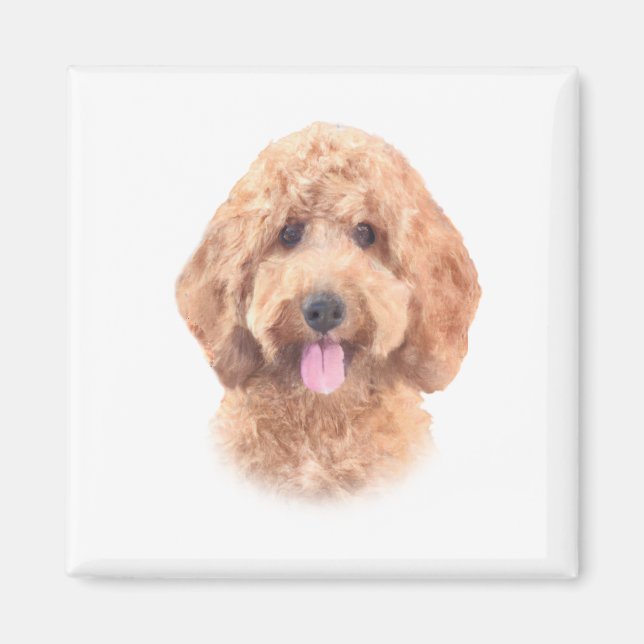 Íman Imagem de Goldendoodle com Cores Aquáticas (Frente)