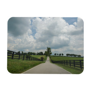 Íman Imagem de Kentucky Bluegrass