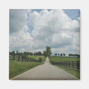 Íman Imagem de Kentucky Bluegrass