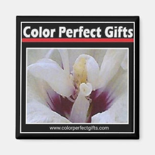 Íman Imagem de logotipo