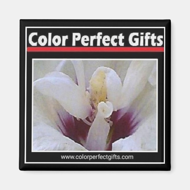 Íman Imagem de logotipo (Frente)