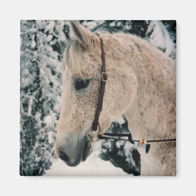 Íman Imagem de Mistura Árabe (Frente)