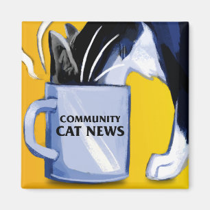 Íman Imagem de Notícias de Gatos de Comunidade Quadrada