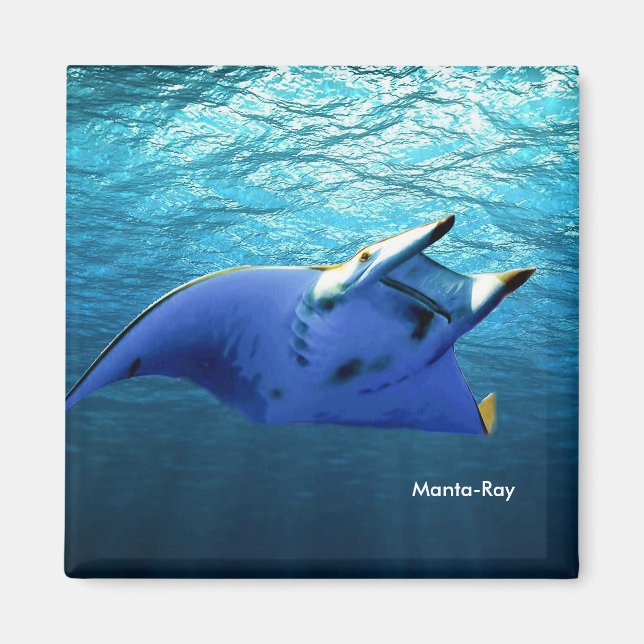 Íman Imagem de Peixe para Magneta Quadrada (Frente)