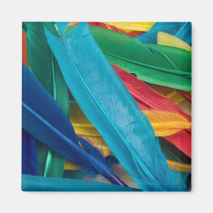 Íman Imagem de penas