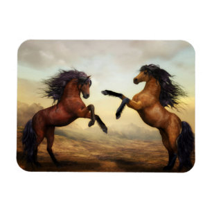 Íman Imagem de Pintura de Estalhões Dueling