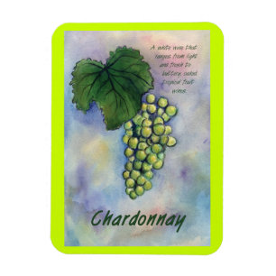 Íman Imagem de Pintura de Uvas de Vinho Chardonnay