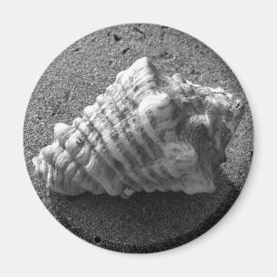 Íman Imagem de Praia da Seashell