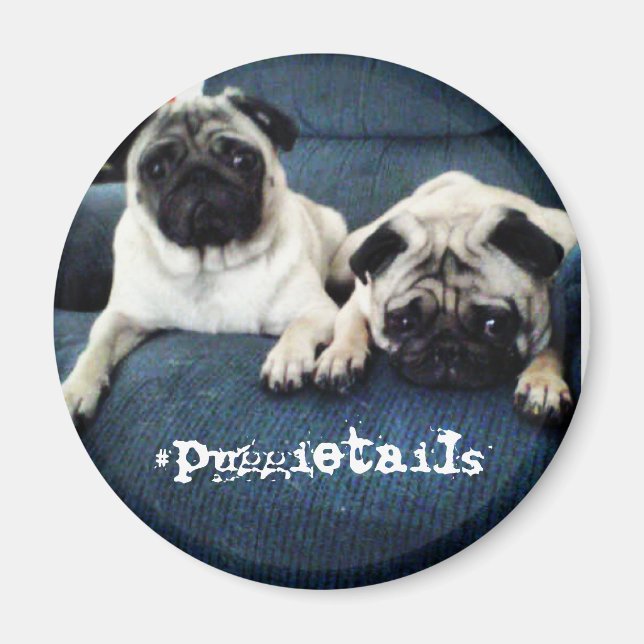 Íman Imagem de #puggietails (Frente)