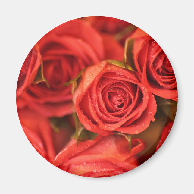 Íman Imagem de rosas de pêssego laranja (Frente)