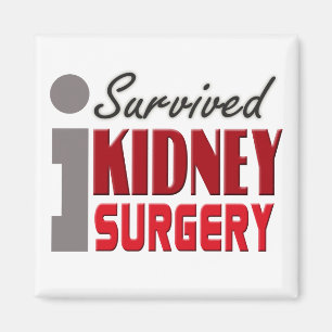 Íman Imagem de Sobrevivência de Cirurgia Renal