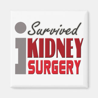 Íman Imagem de Sobrevivência de Cirurgia Renal
