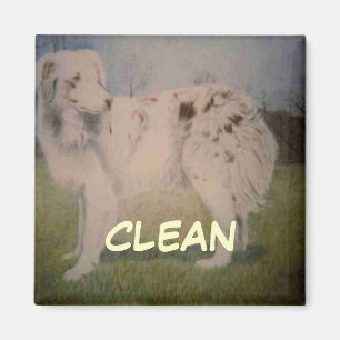 Íman Imagem de Status do Dish Washer