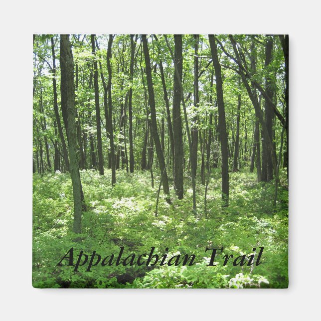Íman Imagem de Trilha Appalachian (Frente)