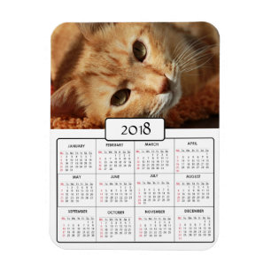 Íman Imagem do Calendário Personalizada Cat Photo 2018