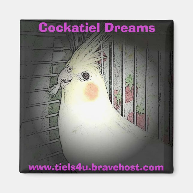 Íman Imagem do Cockatiel Dreams (Frente)