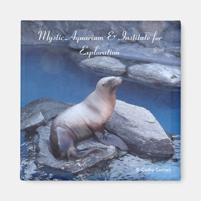 Íman Imagem do Connecticut (Frente)