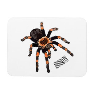 Íman Imagem do desenho de Tarantula