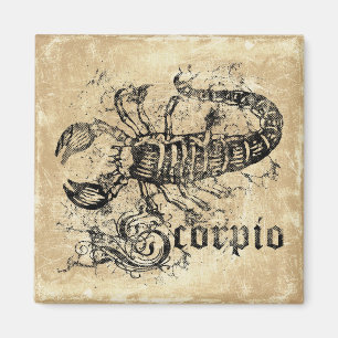 Íman Imagem do Escorpião Zodage