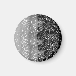 Íman Imagem do Fashion Fireworks